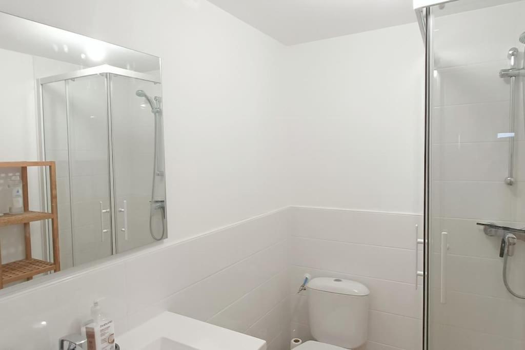 Loft En Centre Ville بيربينيو المظهر الخارجي الصورة